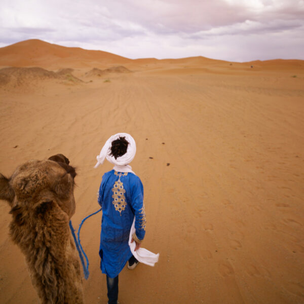 Marokko-Agafay Desert -camel ride