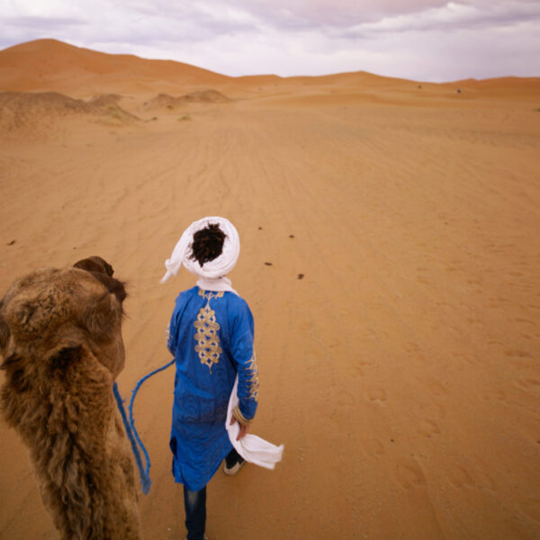 Marokko-Agafay Desert -camel ride