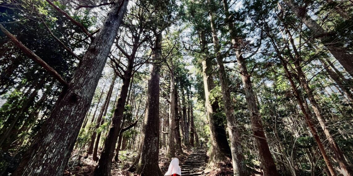 Klantervaring Franka en familie,Zuid-Korea en Japan,Kumano Kodo