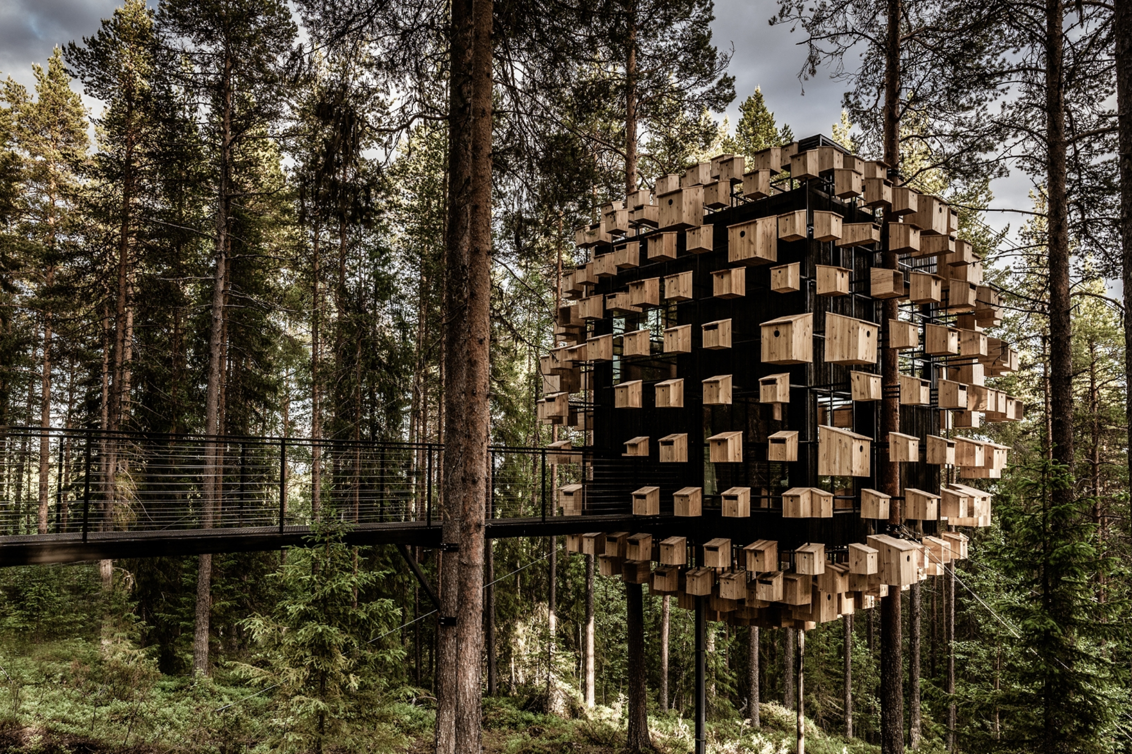 Tree Hotel Sweden