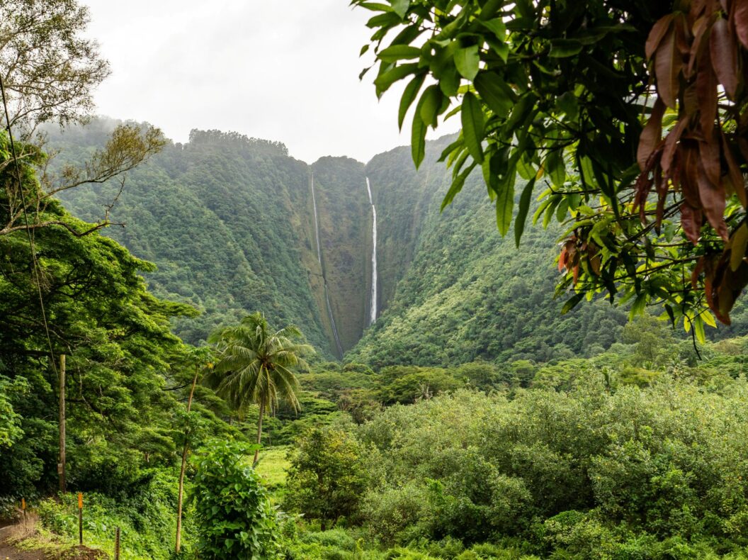 Rondreis Noord-Amerika met Rocky Mountaineer & cruise naar Hawai,Verenigde Staten,Waipio Valley Big Island Hawaii