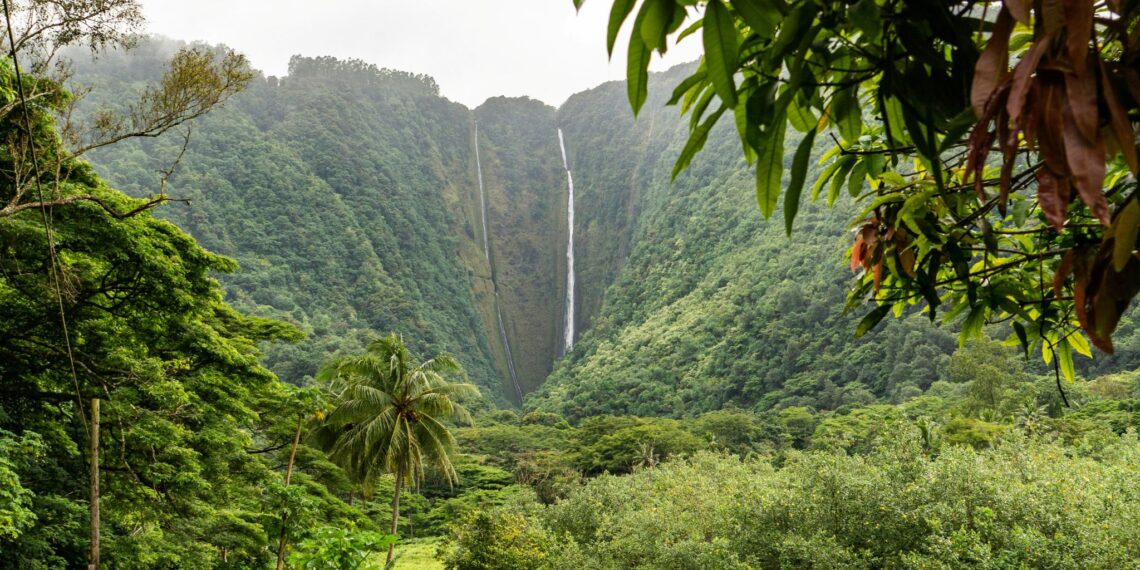 Rondreis Noord-Amerika met Rocky Mountaineer & cruise naar Hawai,Verenigde Staten,Waipio Valley Big Island Hawaii