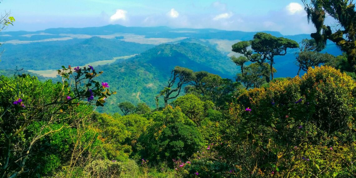 Klantervaring Franca en Hans,Sri Lanka,Horton Plains NP