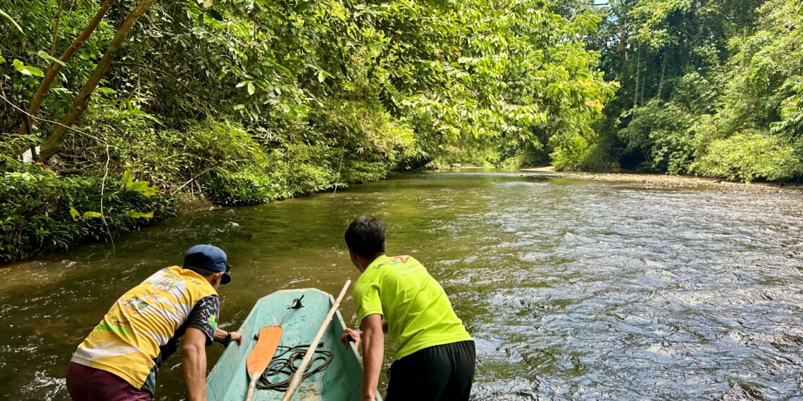 Familiereis Maleisisch Borneo - Mulu National Park