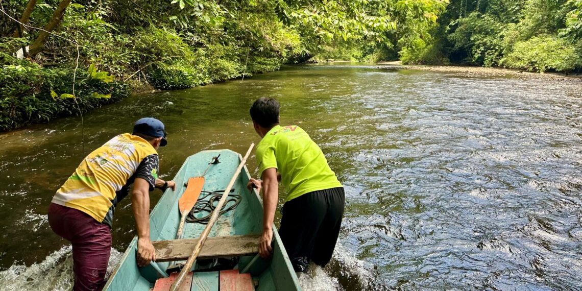 Familiereis Maleisisch Borneo - Mulu National Park
