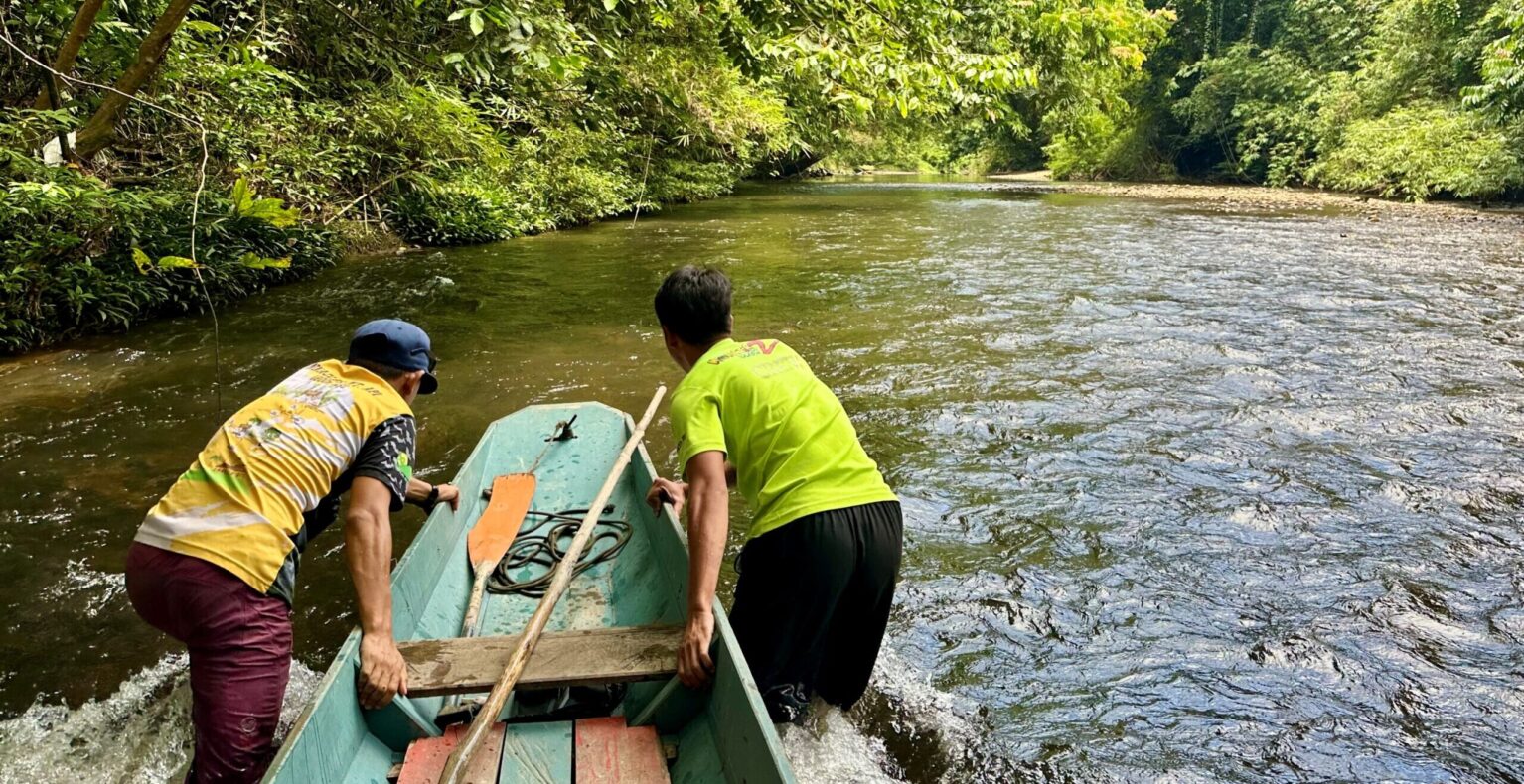 Familiereis Maleisisch Borneo - Mulu National Park