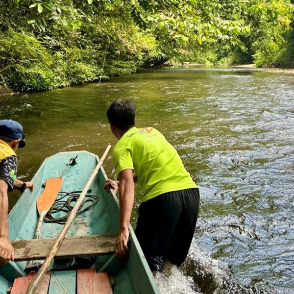 Familiereis Maleisisch Borneo - Mulu National Park