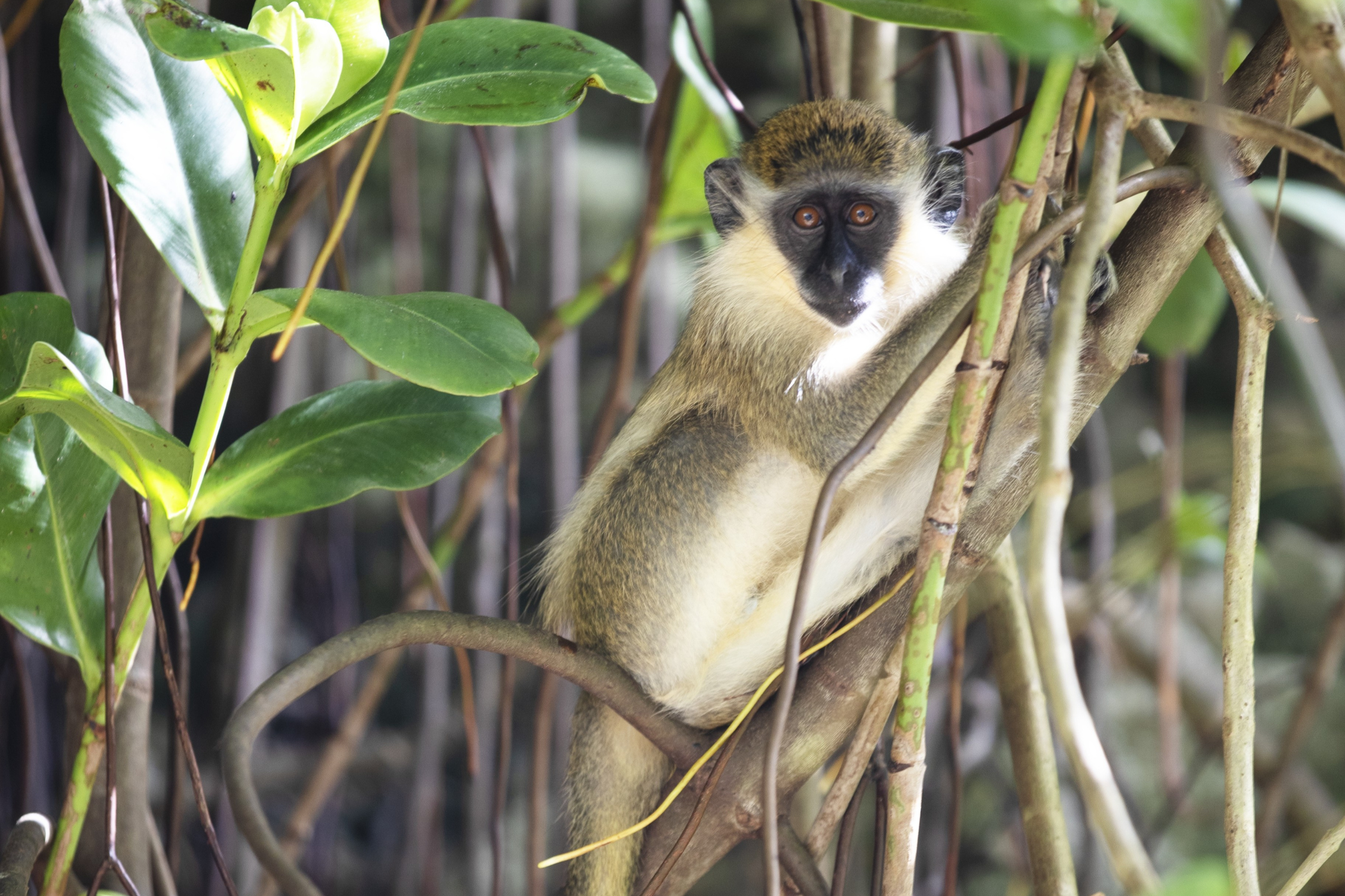 Off the beaten track