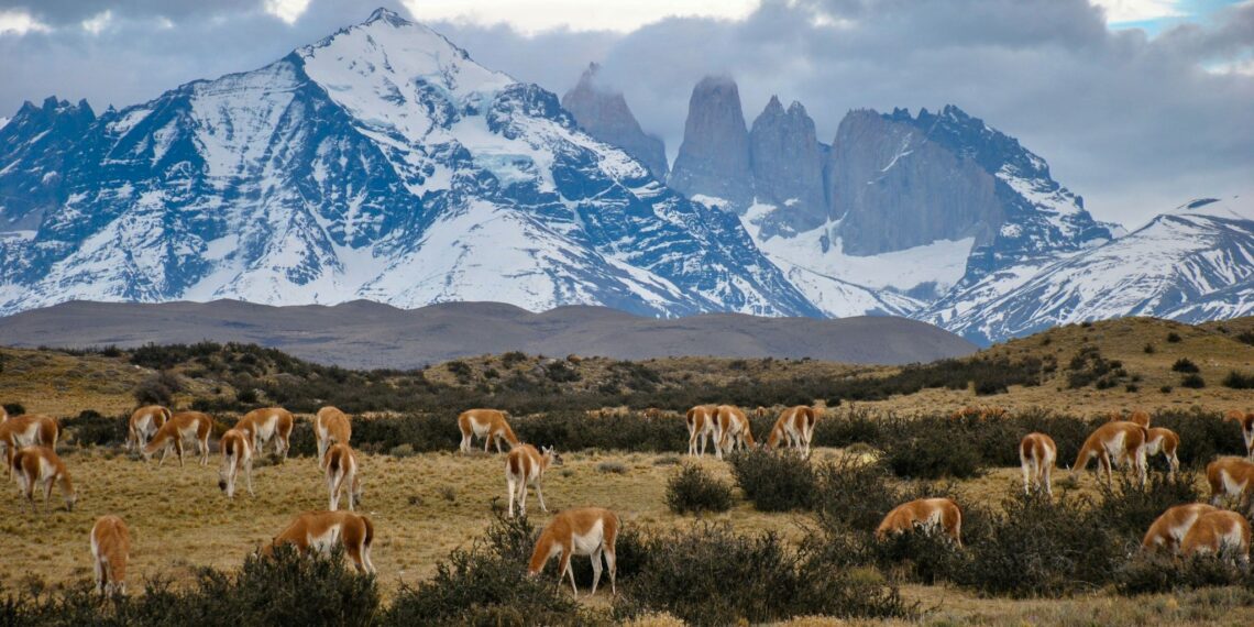 Klantervaring Peter en Mieke,Argentinië en Chili,Torres del Paine NP