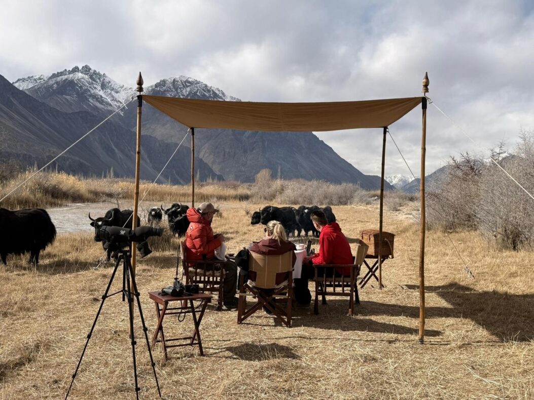 Stone Hedge Ladakh,India,yak experience