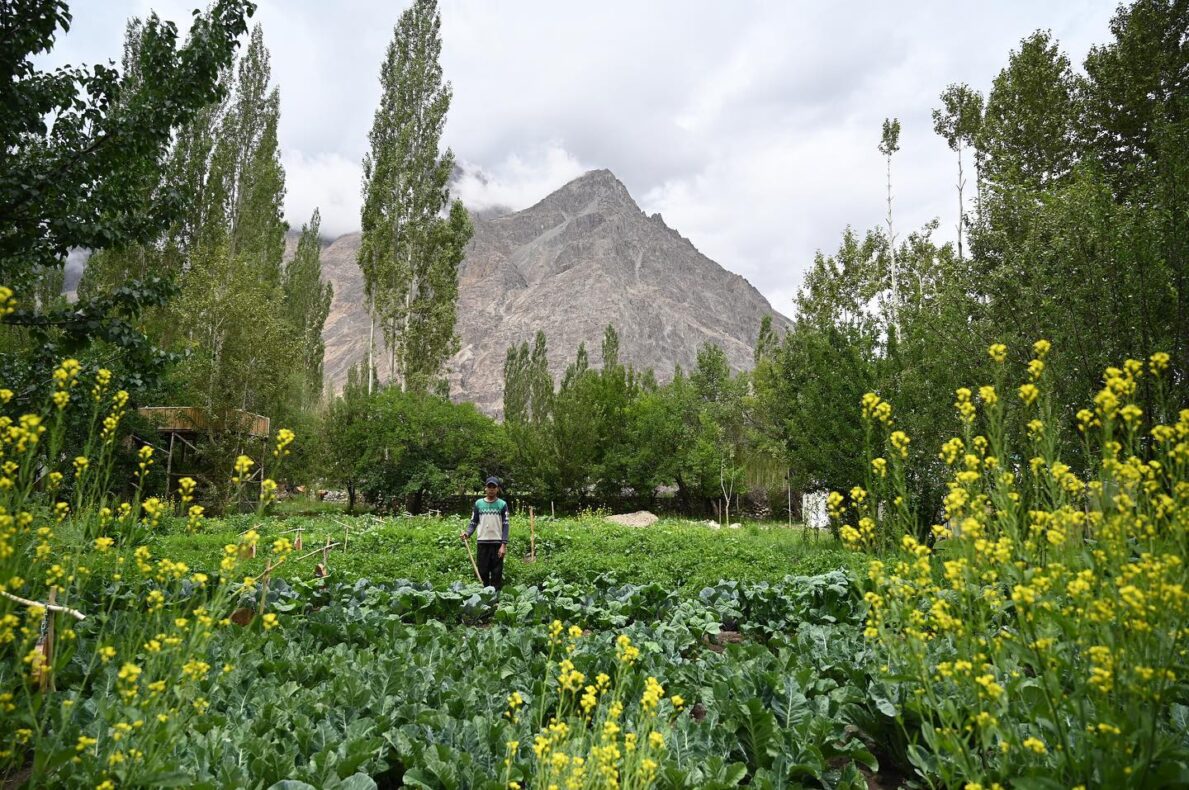 Stone Hedge Ladakh,India,organisch