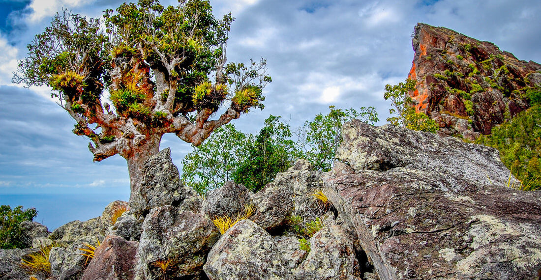 Hiking - wandelen Saba