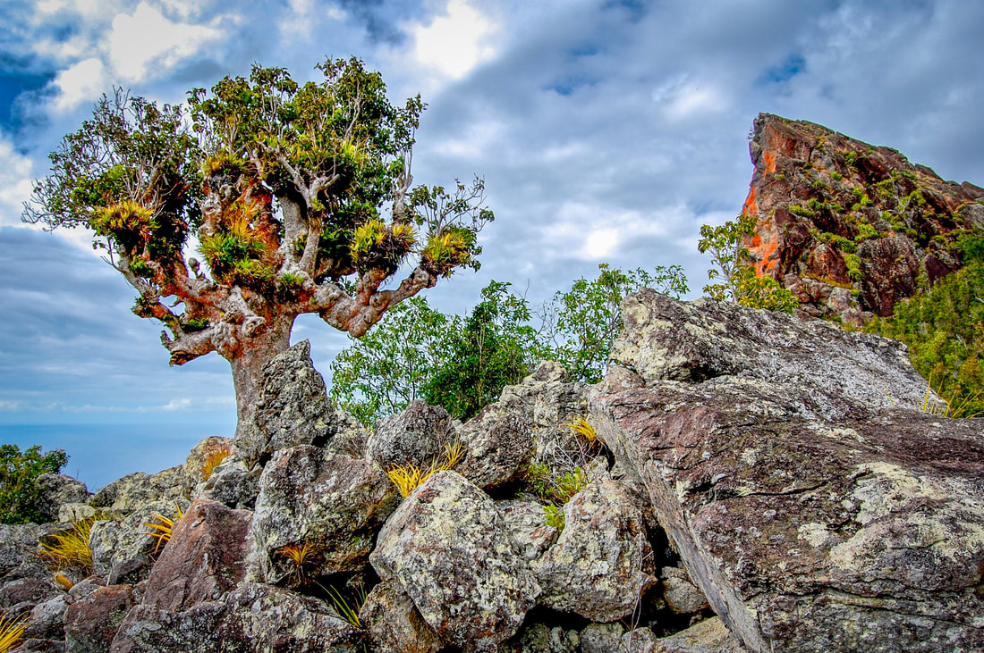 Hiking - wandelen Saba