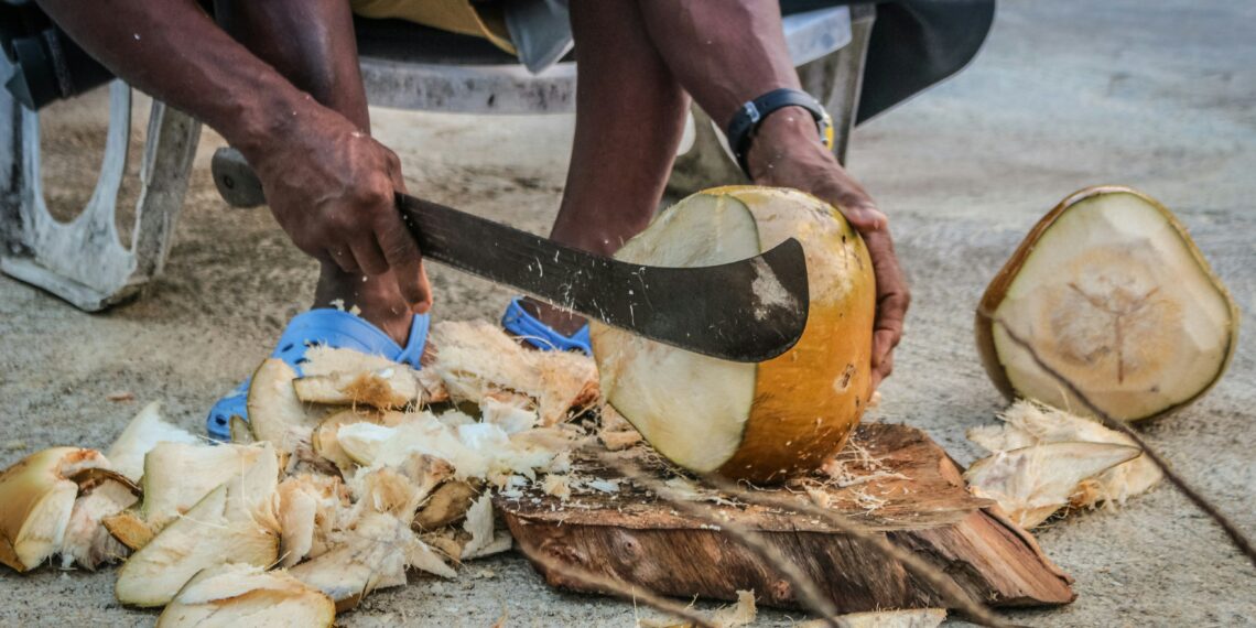 Combinatiereis Guadeloupe en Martinique