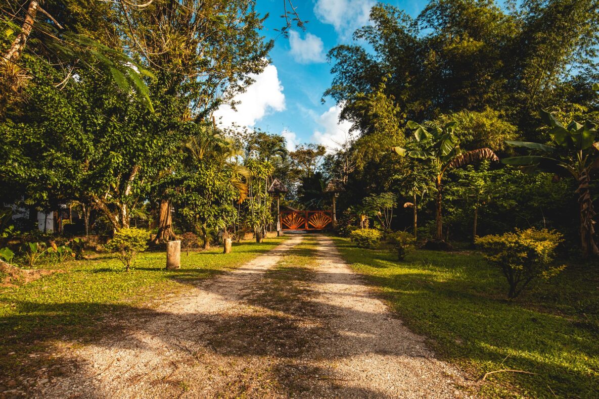 Acajou,Trinidad en Tobago,tuina