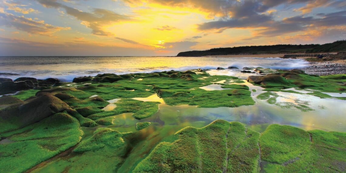 Eilanden Taiwan,Lai Yiting