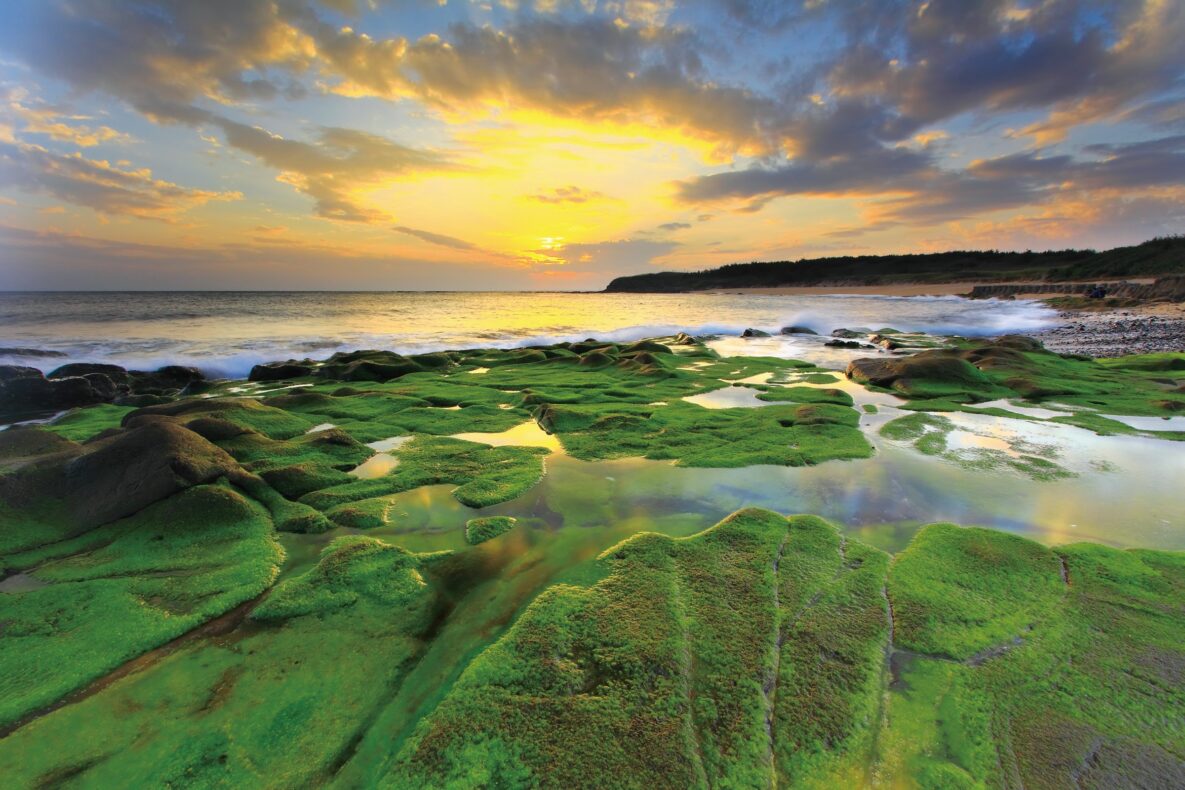 Eilanden Taiwan,Lai Yiting
