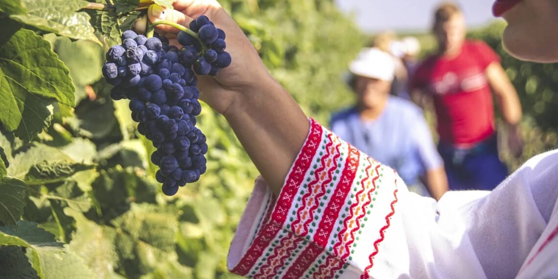 Villa Yustina Winery - wijnreis Bulgarije