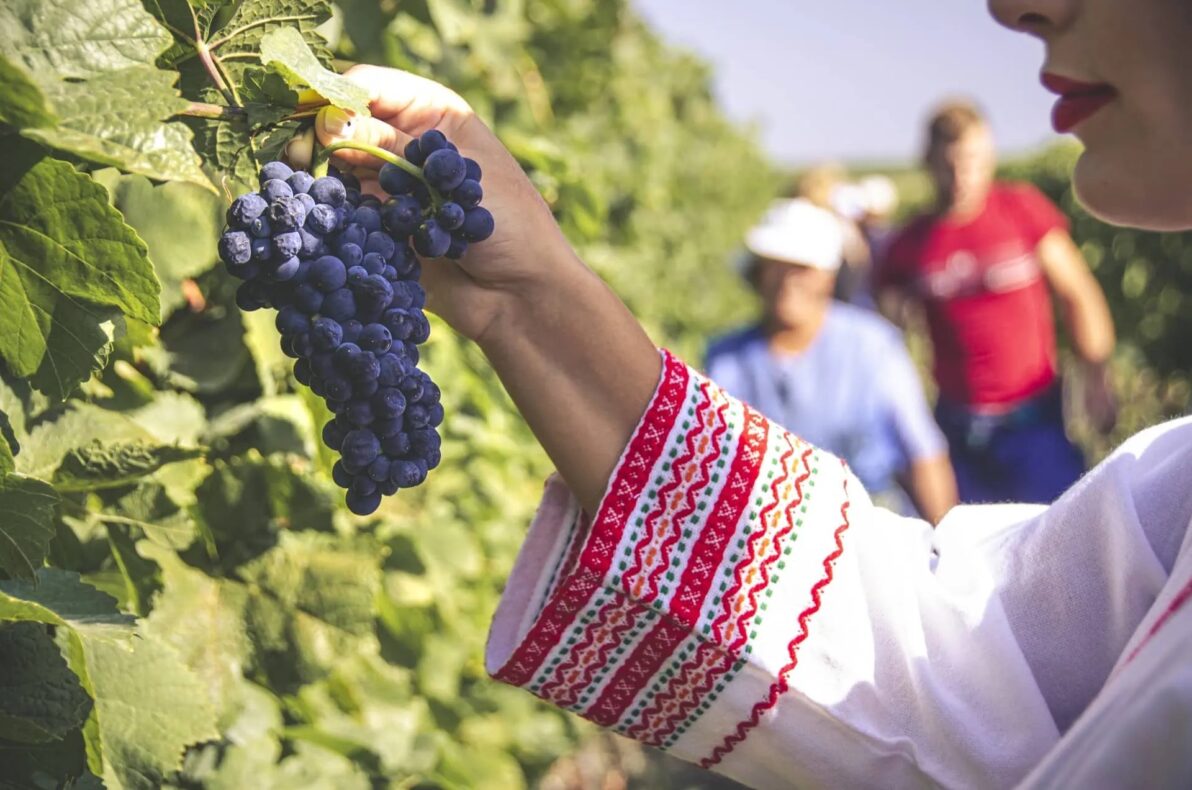 Villa Yustina Winery - wijnreis Bulgarije