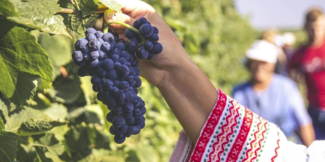 Villa Yustina Winery - wijnreis Bulgarije