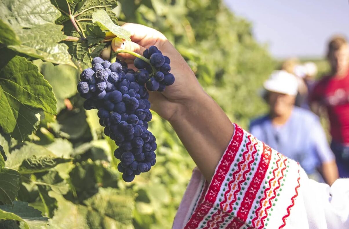 Villa Yustina Winery - wijnreis Bulgarije