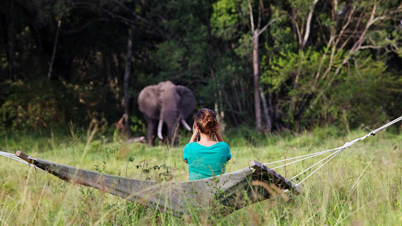 Elewana Elephant Pepper Camp,Kenia,olifant vanuit de hangmat