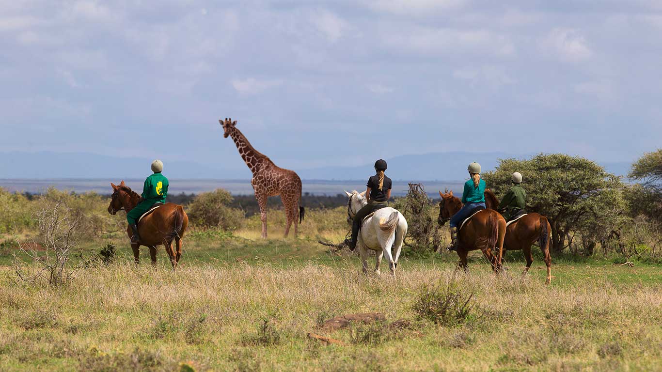 Loisaba Tented Camp by Elewana.,Kenia,paardrijden met giraffe